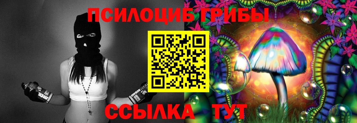 Майкоп  Псилоцибиновые грибы Psilocybe  Вход с VPN 